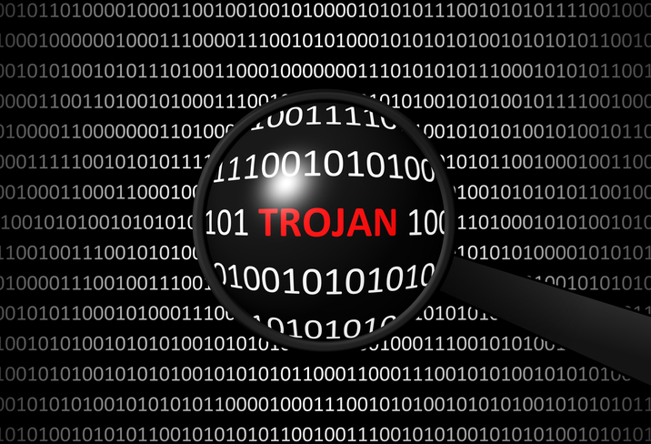 Bilden föreställer en upptäckt trojan
